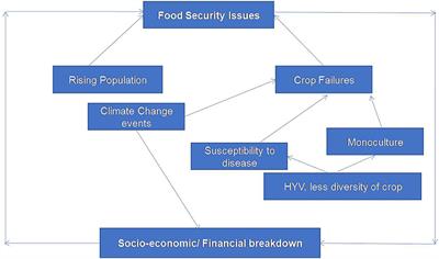Circular economy in agriculture: unleashing the potential of integrated organic farming for food security and sustainable development